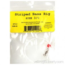 Hayward Striped Bass Rig 554208184